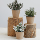 Creative Co-op Faux Greens w/ Red Berries in Paper Mache Pot
