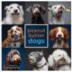 Harper Group Peanut Butter Dogs Book