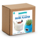 Two's Company Paint Your Own Sealife Planter Kit  - Shark