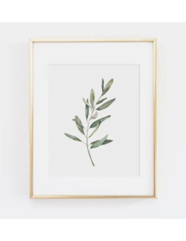 Cami Monet Olive Branch Art Print - 11x 14