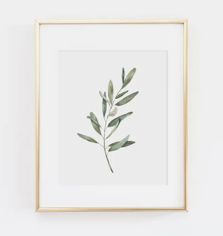 Cami Monet Olive Branch Art Print - 11x 14