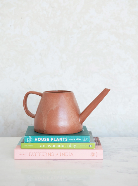 Creative Co-op Stoneware Watering Can
