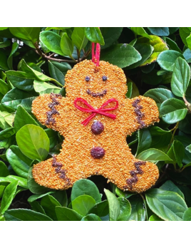 Mr. Bird Gingerbread Man Christmas Cookie