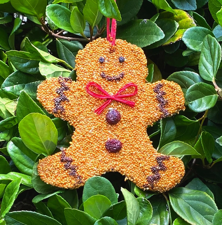 Mr. Bird Gingerbread Man Christmas Cookie