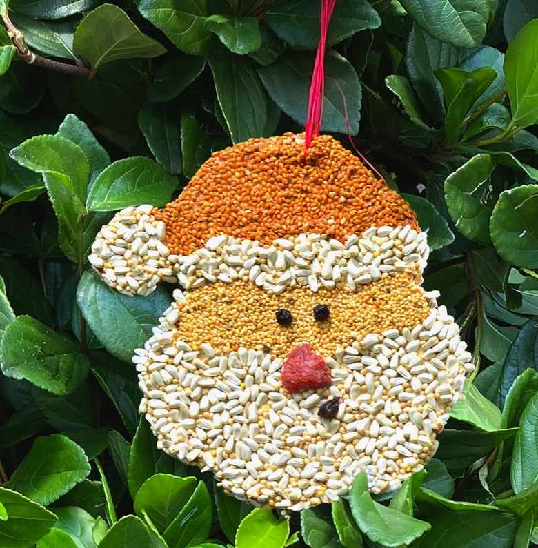 Mr. Bird Santa Christmas Cookie