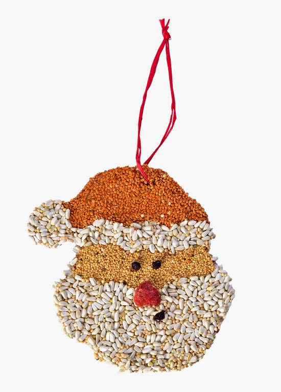 Mr. Bird Santa Christmas Cookie