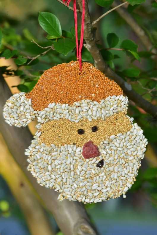 Mr. Bird Santa Christmas Cookie
