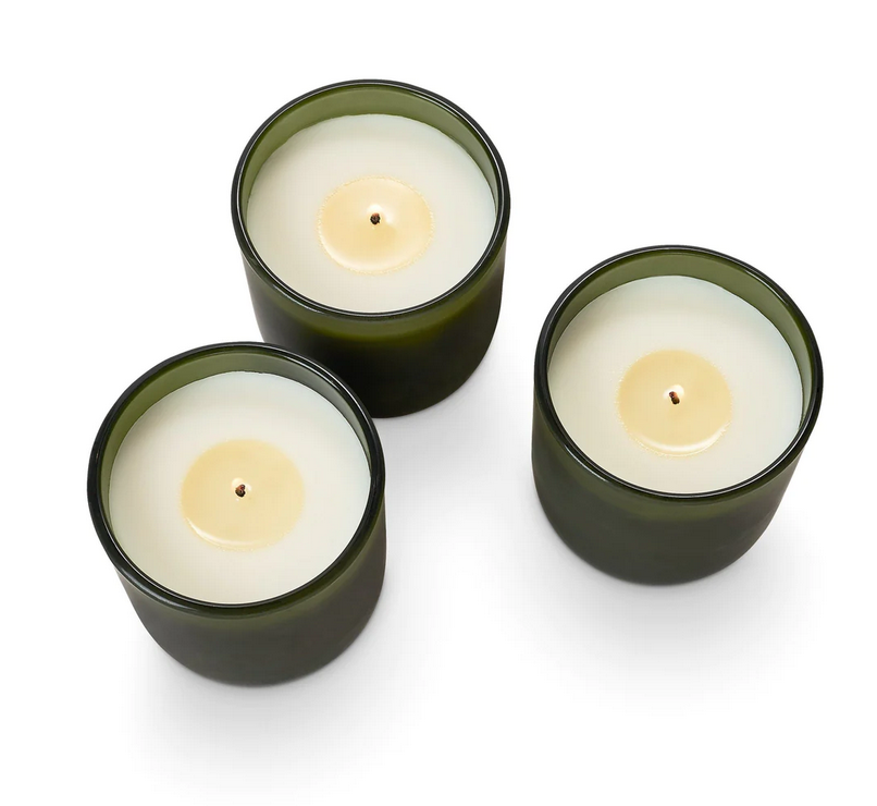 Illume Balsam & Cedar Candle Trio Gift Set