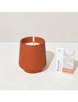 Modern Sprout Rooted Candle - Rosemary & Cedar