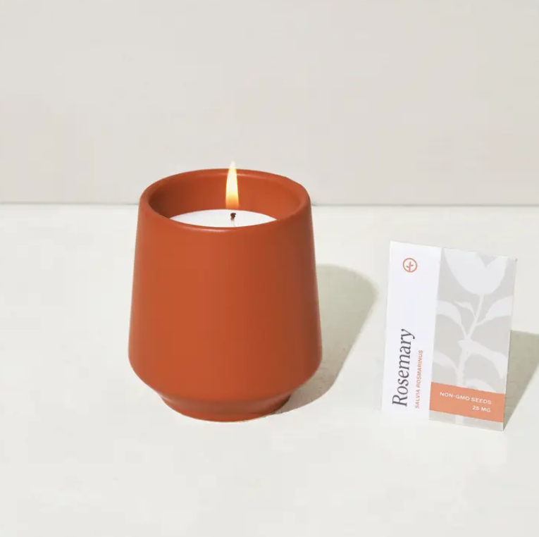 Modern Sprout Rooted Candle - Rosemary & Cedar