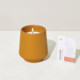 Modern Sprout Rooted Candle - Lavender & Neroli