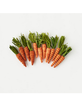 One Hundred 80 Degrees Jumbo Carrots - Set of 4