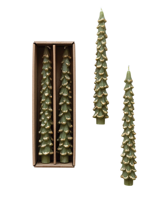 Creative Co-op Unscented Tree Shaped Taper Candles w/ Gold Tips in Box, Evergreen Color