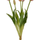GG Distributors 16" Tulip Bundle Pink