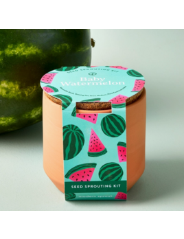 Modern Sprout Tiny Terracotta Garden Kit - Baby Watermelon