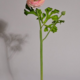 13" Ranunculus Spray - Pink