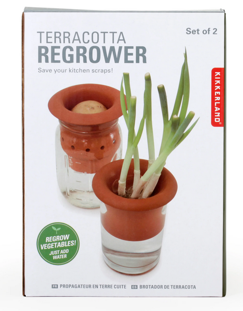 Kikkerland Terracotta Regrower