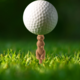 Kikkerland Gopher the Caddie Golf Tee