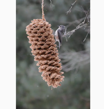 Mr. Bird Giant Pine Cone