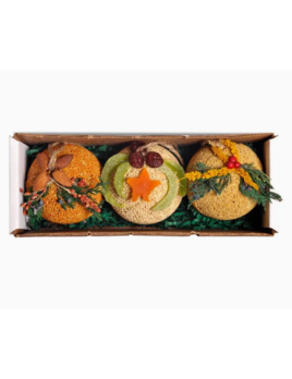 Mr. Bird Fruit Ornament Trio