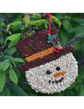 Mr. Bird Frosty Christmas Cookie