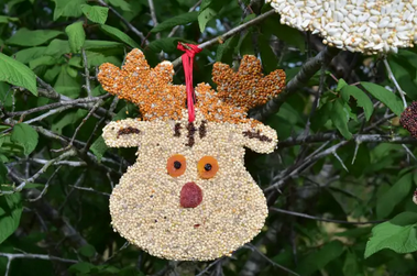 Mr. Bird Rudolph Christmas Cookie