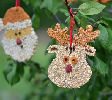 Mr. Bird Rudolph Christmas Cookie
