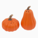 Boston International Pumpkin & Gourd Salt & Pepper Set