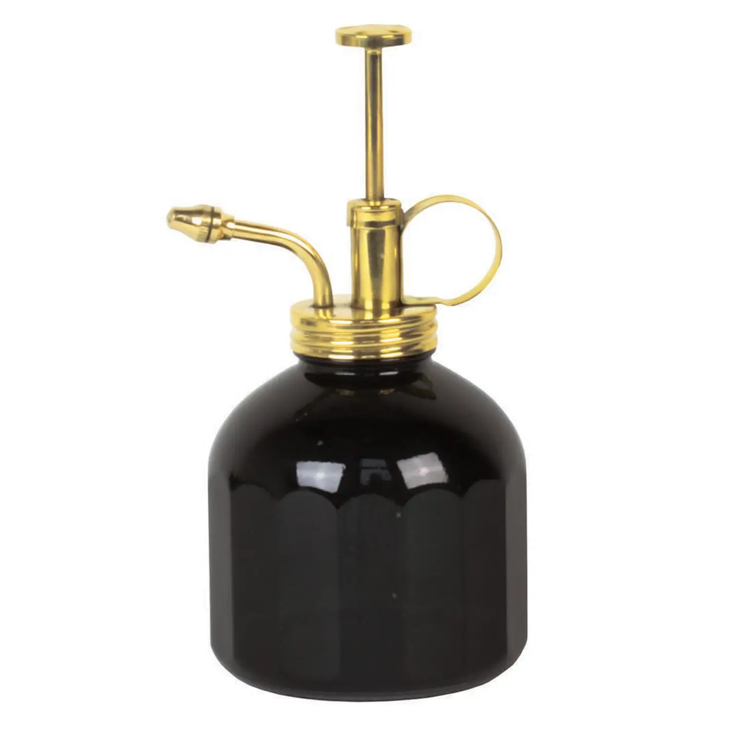 Modern Sprout Black Glass & Brass Plant Mister