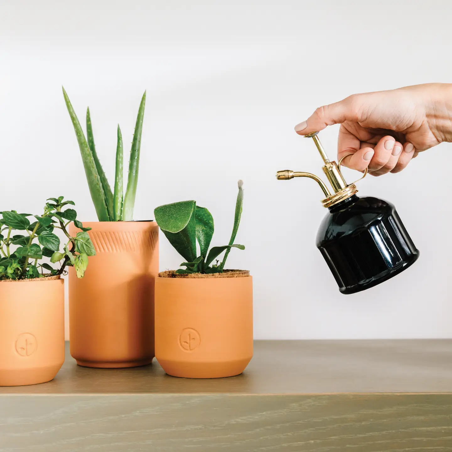 Modern Sprout Black Glass & Brass Plant Mister