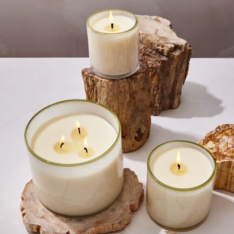 Candles & Fragrance