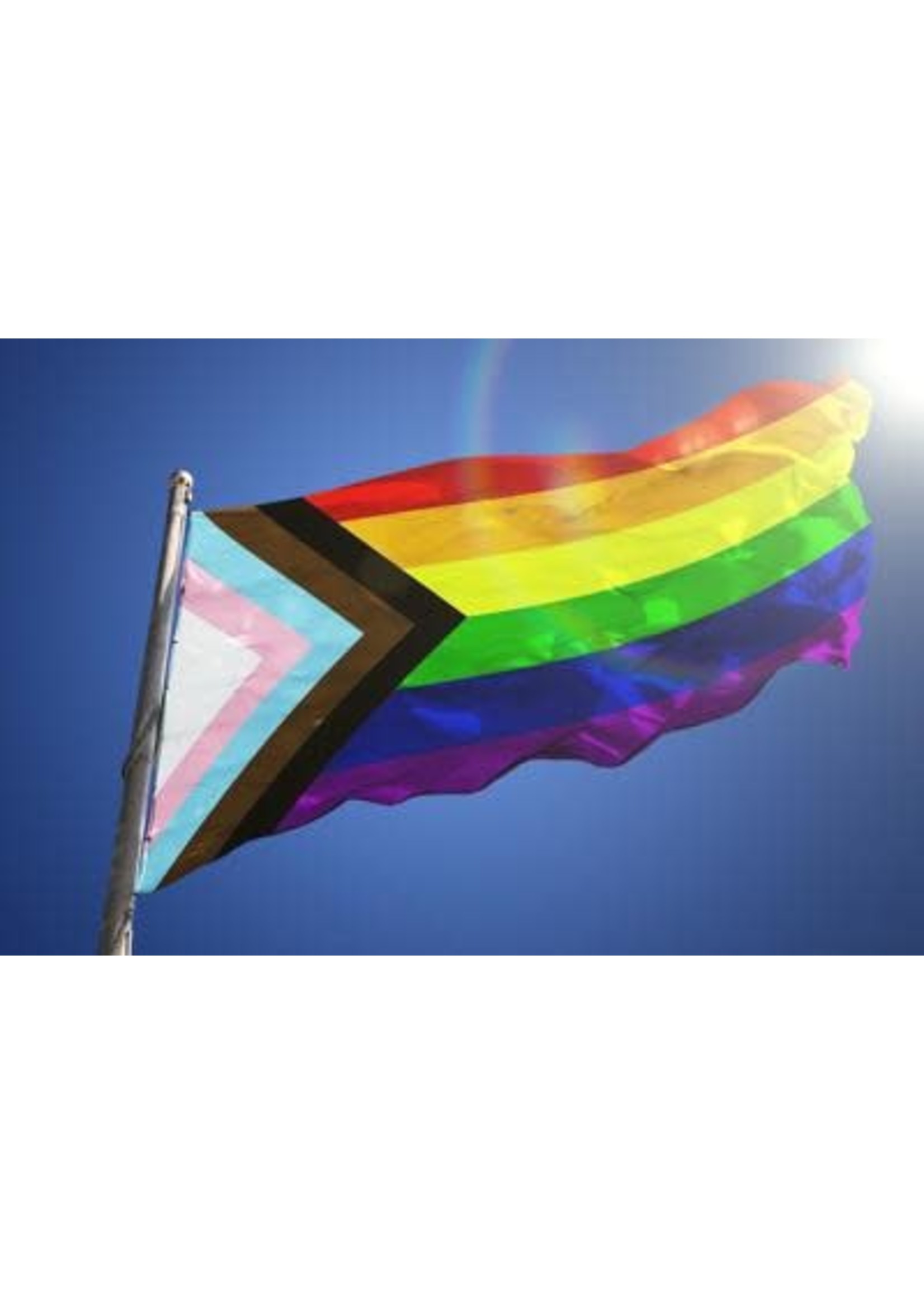 Pride not Prejudice Polyester Flag 3' x 5'