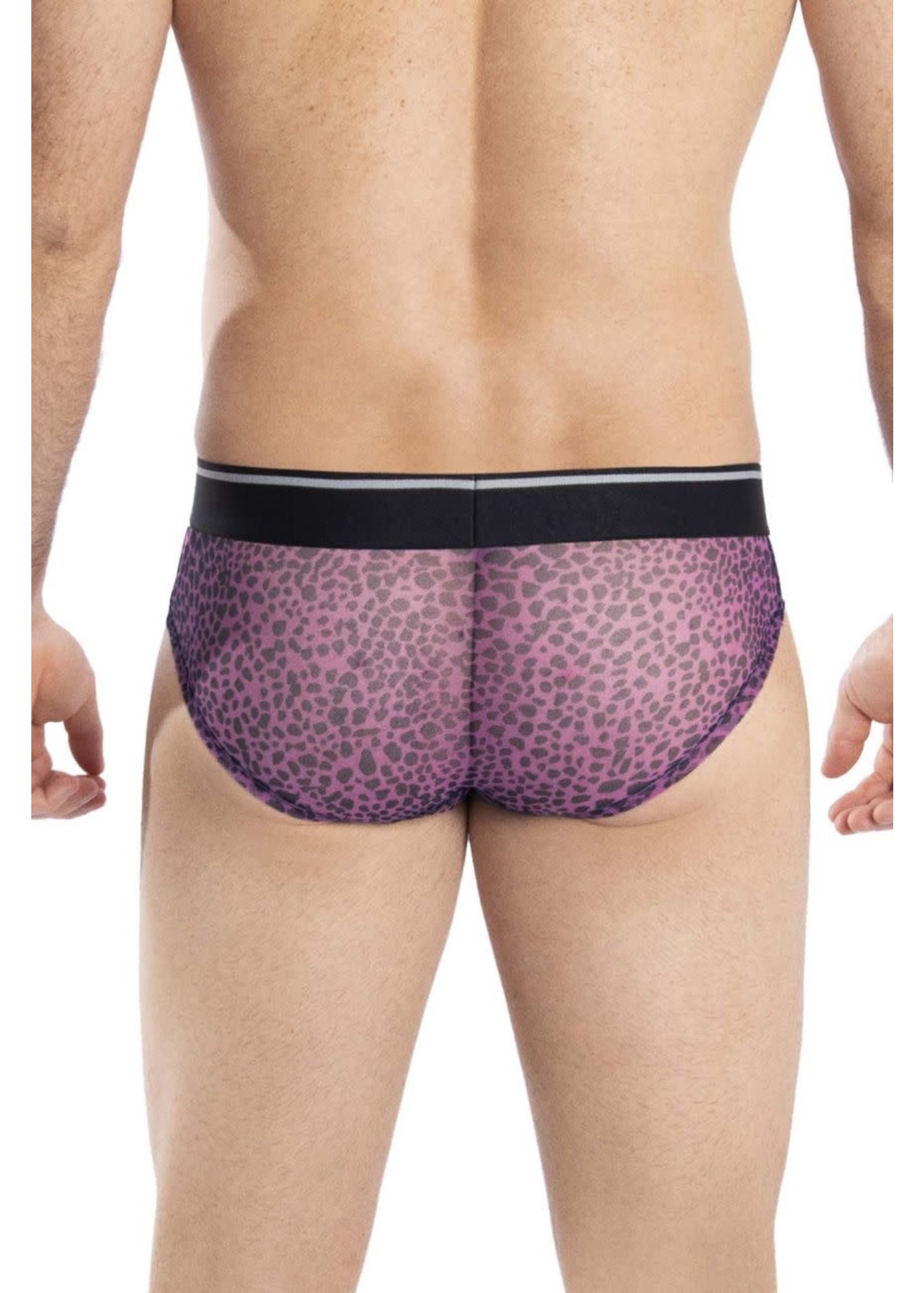 Hawai Animal Hip Brief