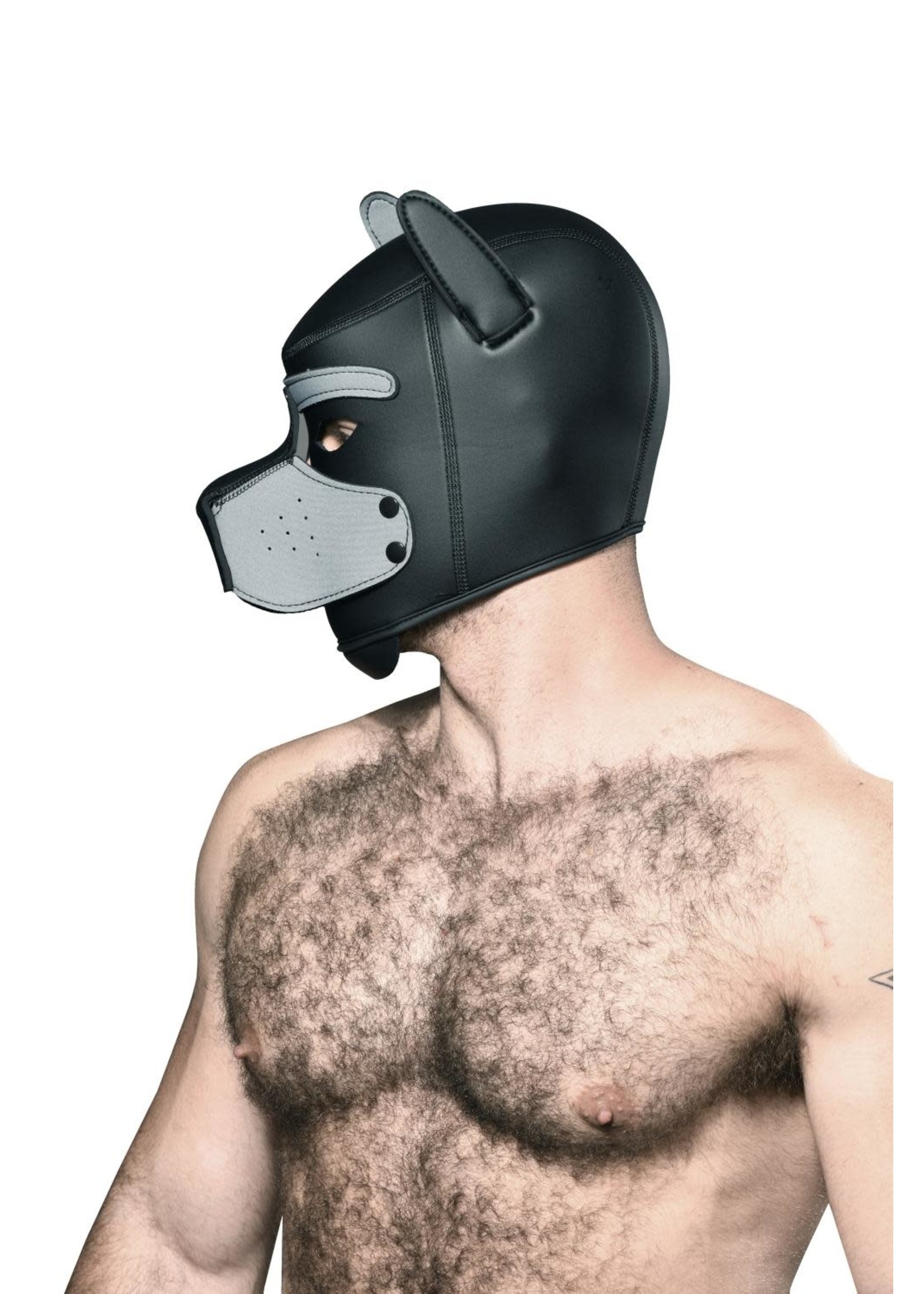 Andrew Christian Trophy Boy Puppy Play Hood