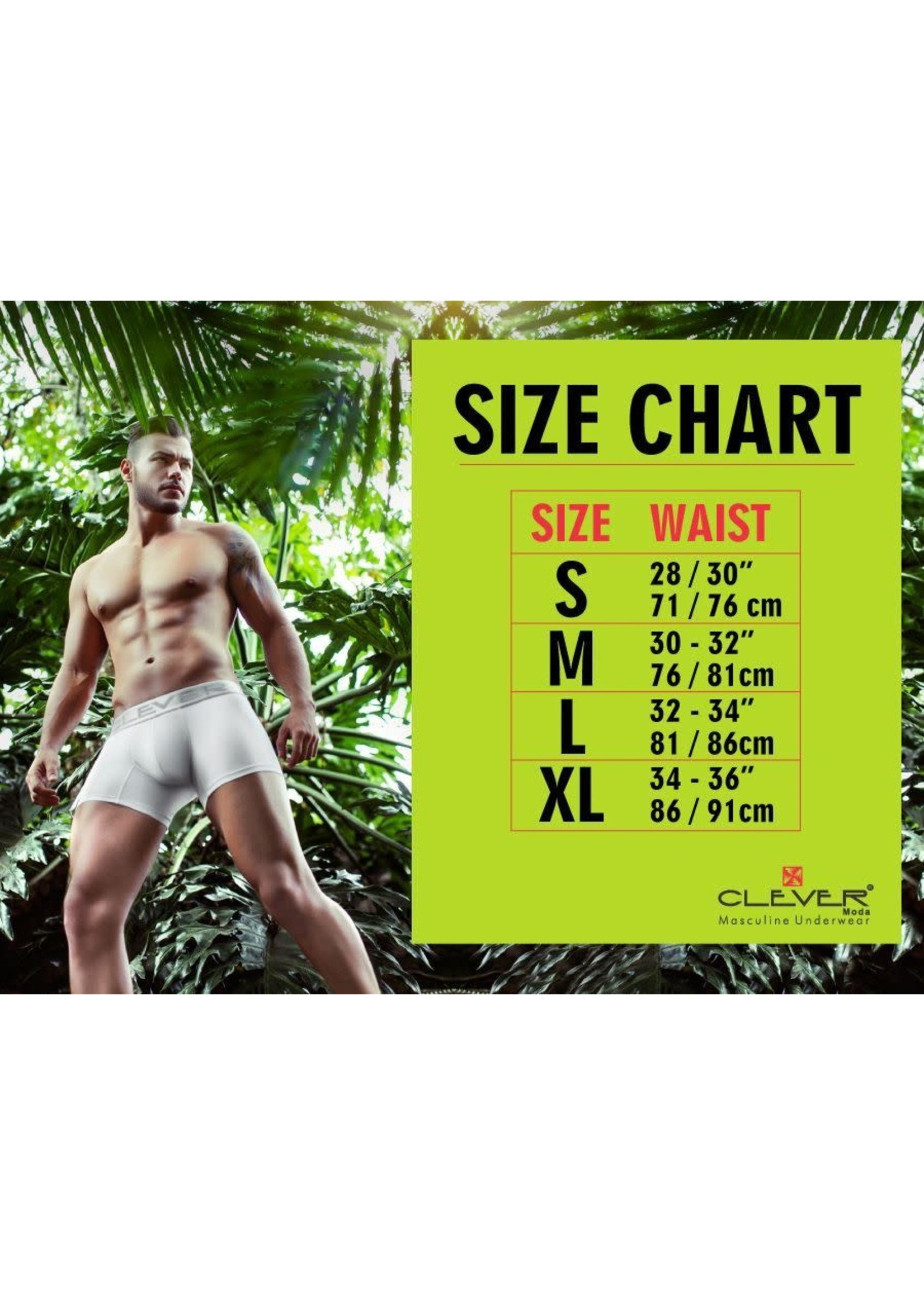 CLEVER BRIEFS, Men's UNDERWEAR, SIZE L,XL