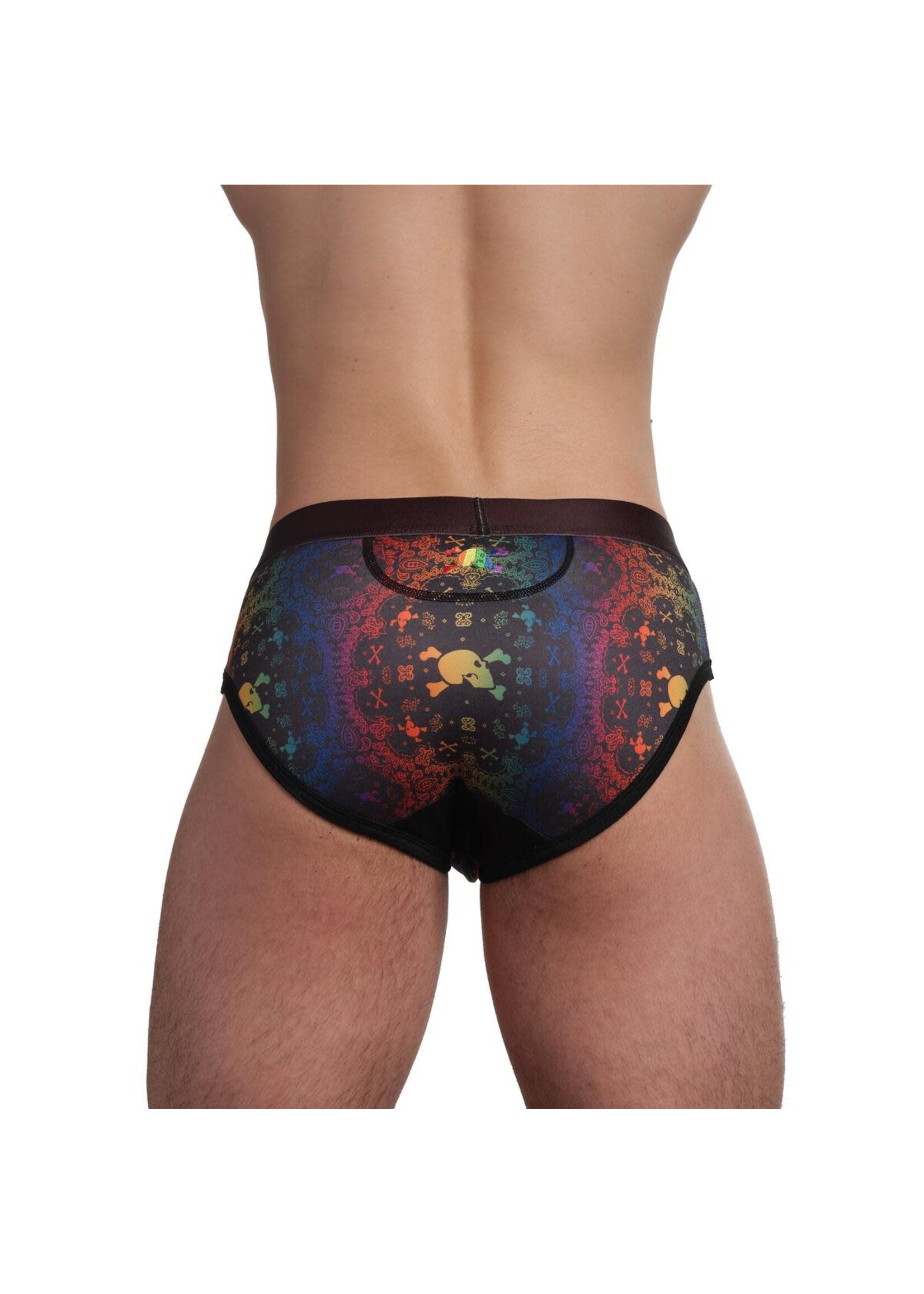 Skull & Bones Rainbow Bandana Brief