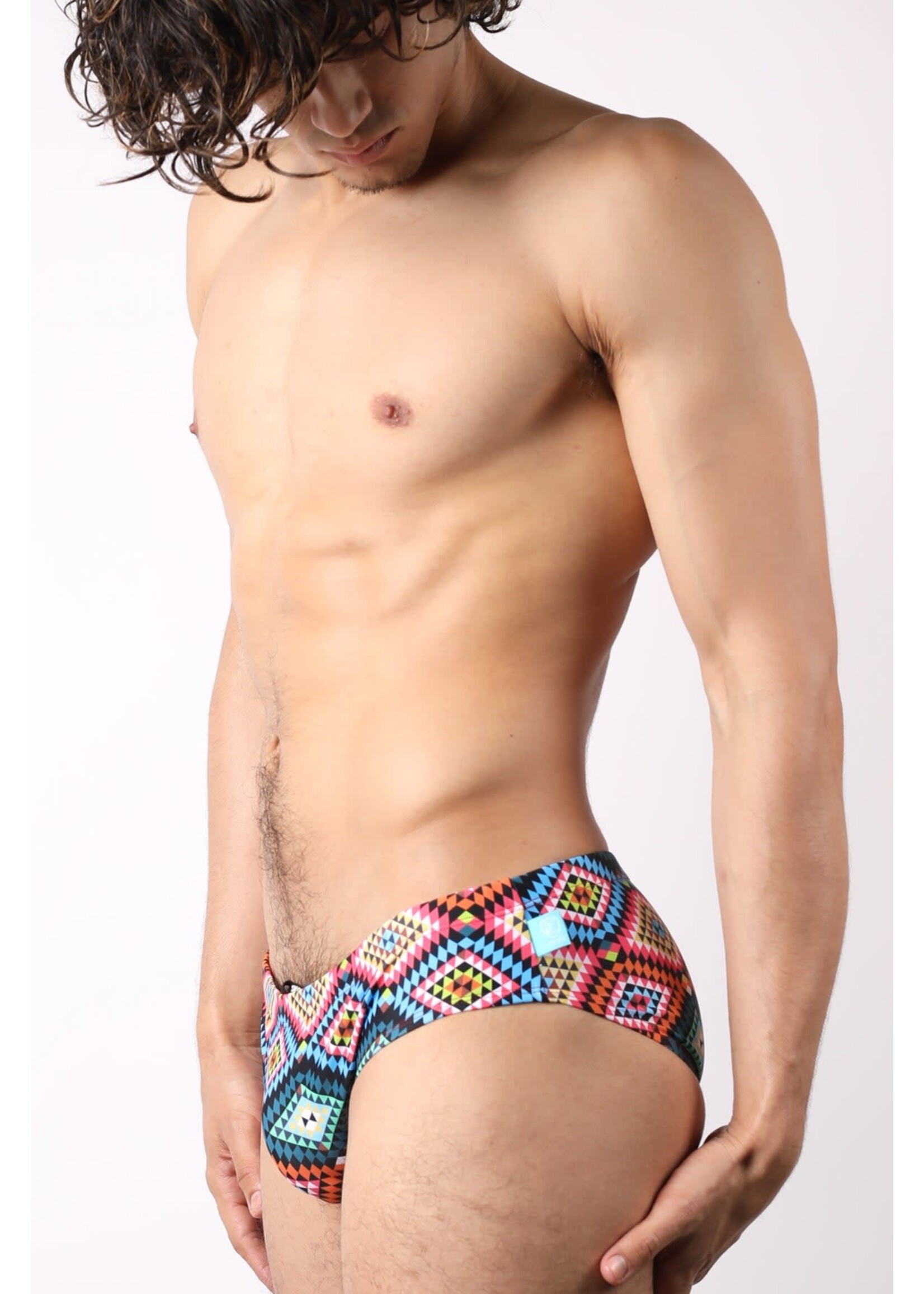 Timoteo Lakeshore Low-Rise Swim Brief