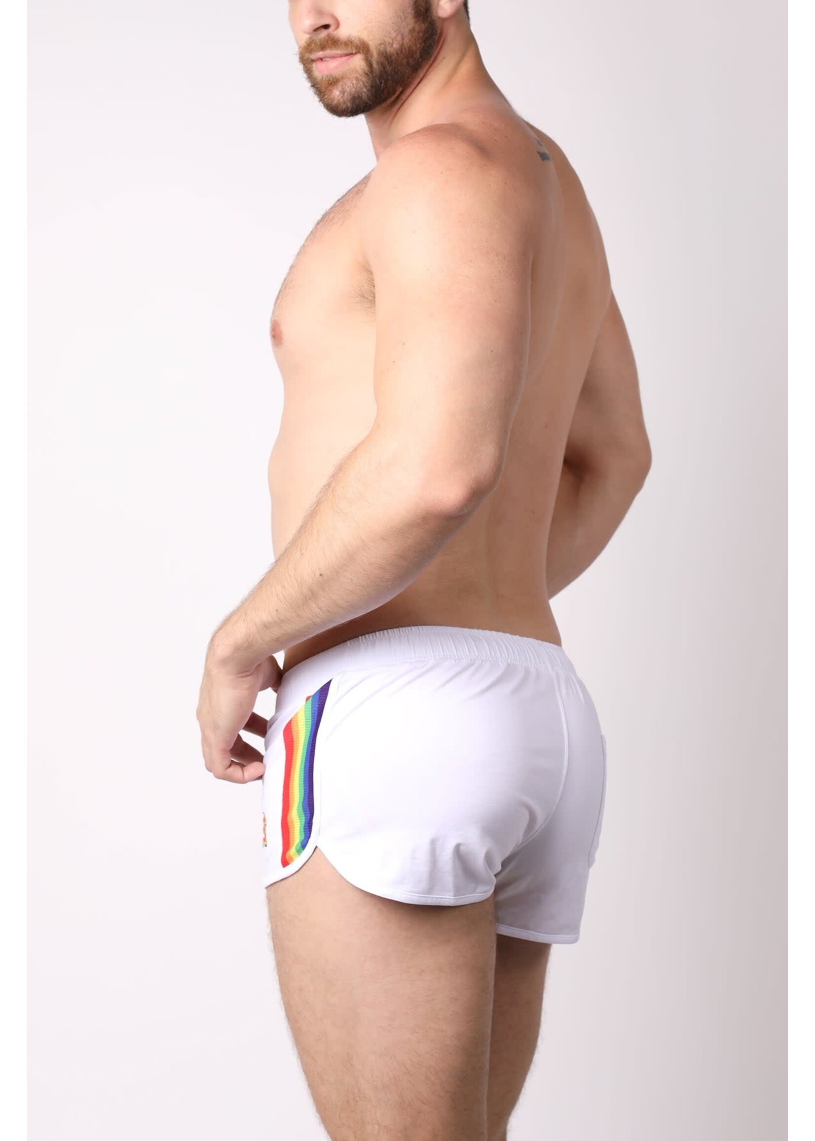 Rainbow Pride Briefs - A Lot MooRe