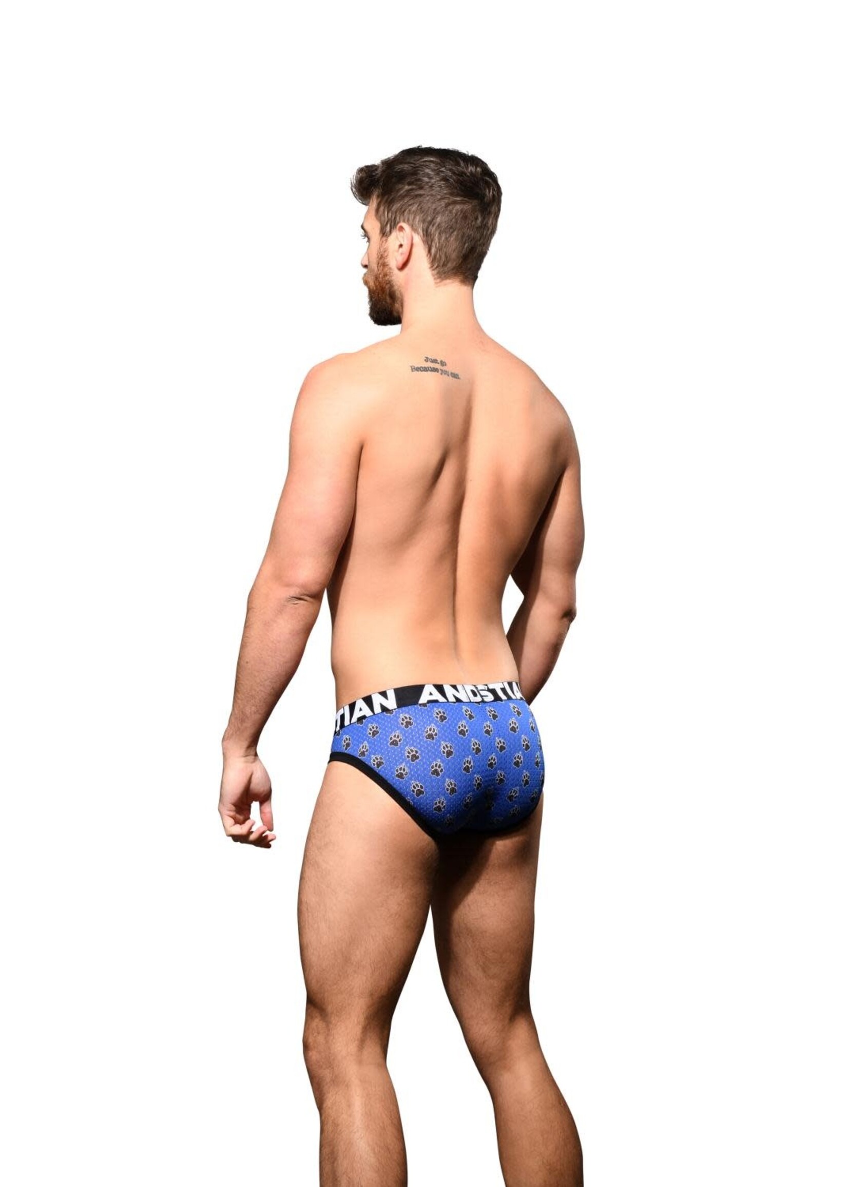 Andrew Christian Paws Mesh Brief w/ Almost Naked