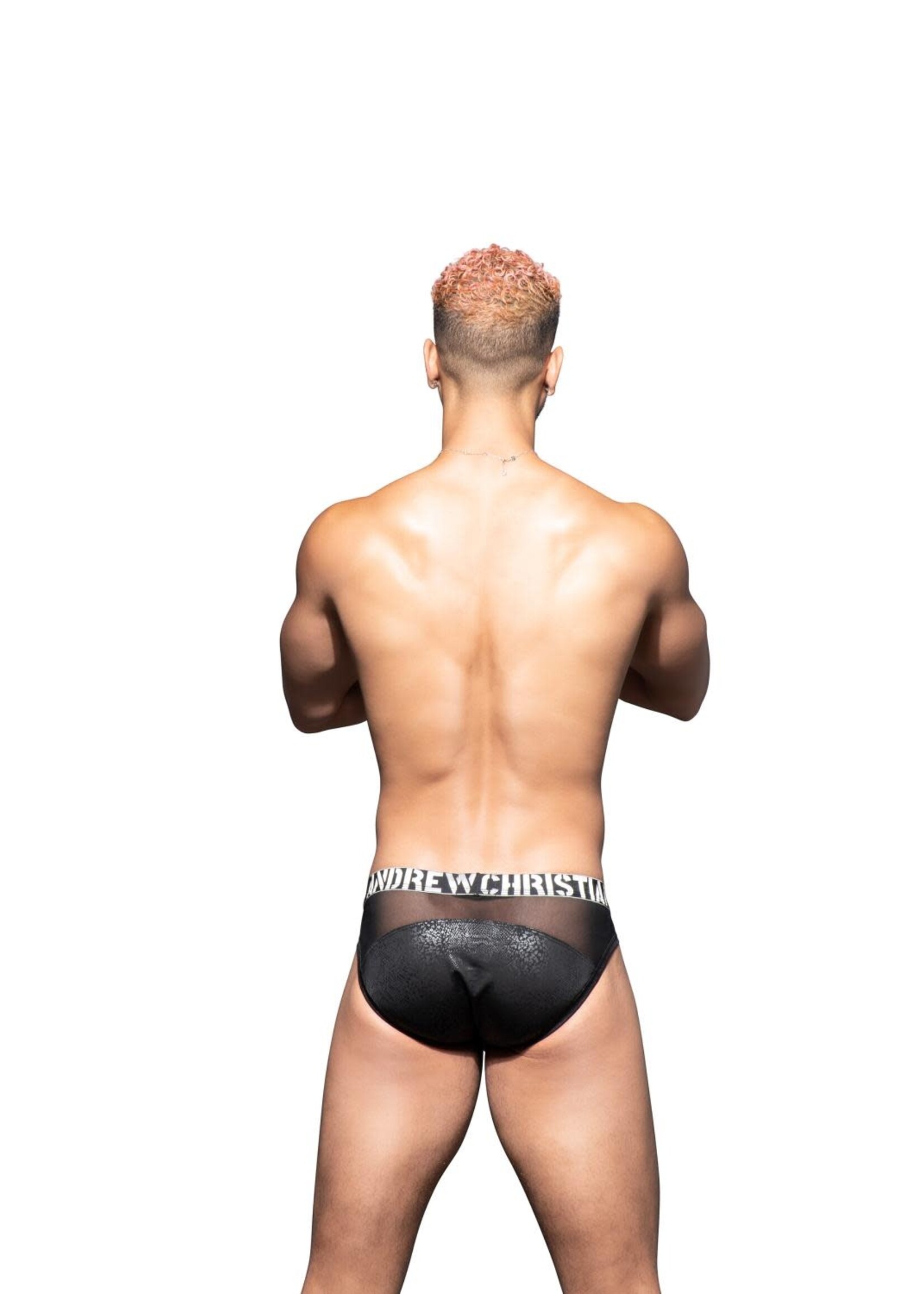 Andrew Christian Venom Sheer Brief w/ ALMOST NAKED®