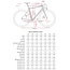 ENVE Melee Frameset