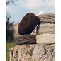 Wool Dreamers Manchelopis
