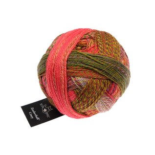 Schoppel Wolle Zauberball Crazy