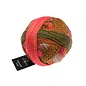 Schoppel Wolle Zauberball Crazy