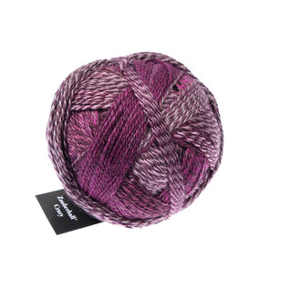 Schoppel Wolle Zauberball Crazy