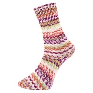 Fjord Multicolor Sock