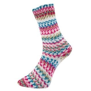 Fjord Multicolor Sock