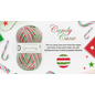 WYS Signature 4 Ply Christmas Yarn