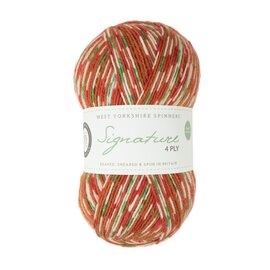 WYS Signature 4 Ply Christmas Yarn
