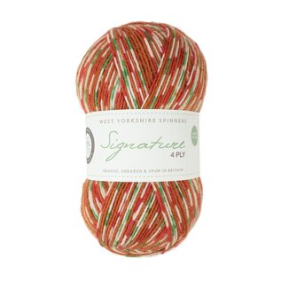 WYS Signature 4 Ply Christmas Yarn